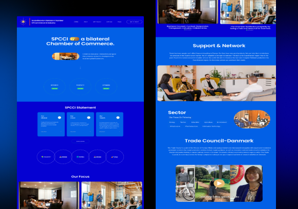 Screenshot of Custom E-commerce Website Development | MaazDev Portfolio
